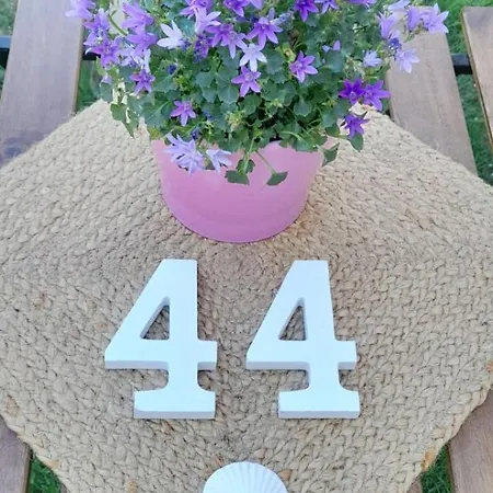 La Casa 44, Con Opcional Sariego